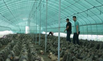 駐馬店市質(zhì)檢中心開展2017年農(nóng)產(chǎn)品質(zhì)量安全第三次例行監(jiān)測工作